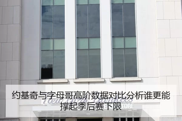约基奇与字母哥高阶数据对比分析谁更能撑起季后赛下限