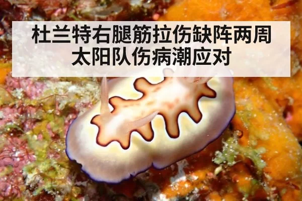 杜兰特右腿筋拉伤缺阵两周太阳队伤病潮应对