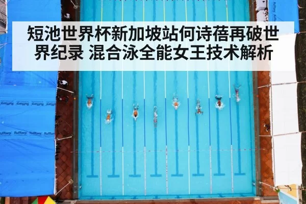 短池世界杯新加坡站何诗蓓再破世界纪录 混合泳全能女王技术解析