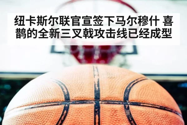 纽卡斯尔联官宣签下马尔穆什 喜鹊的全新三叉戟攻击线已经成型